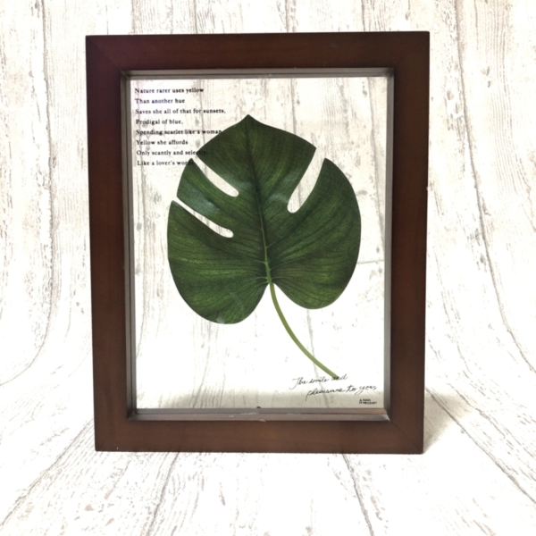 178EDC86-EDB6-4597-A925-ECC24121C7FB