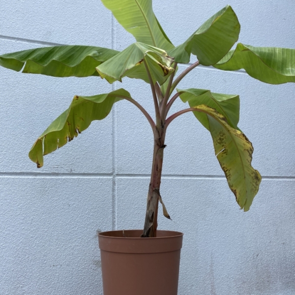 1588C64D-7E43-4D96-AB4E-844DC6745607